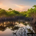 벵골 호랑이 서식지 순다르반스 - A vibrant mangrove ecosystem scene at sunrise, featuring dense mangrove trees with intricate aerial ...